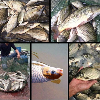 25g Bran Aroma de Pește Momeală Umflat de Argint Crap, Momeală de Pește Rezervor de Aroma Lac Momeala Aditiv Imagine 2